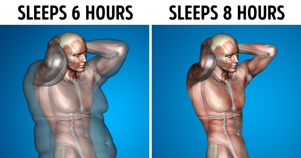 What Happens To Your Body If You Sleep Hours Every Day