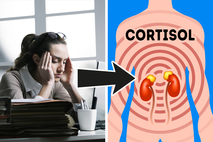 Hormones That Lead to Weight Gain and How to Avoid It