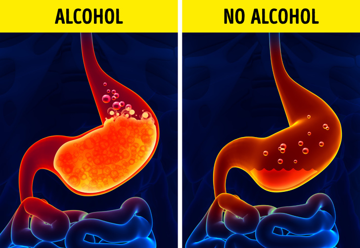 This Will Happens to Body When You Stop Drinking Alcohol
