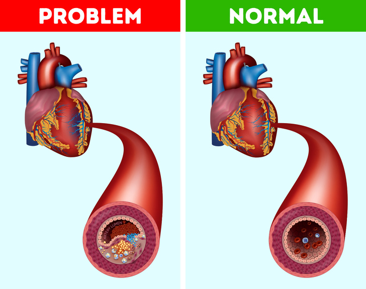 What Will Happen To Your Body If You Start Eating 3 Dates a Week