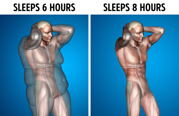 What Happens to Your Body If You Sleep 8 Hours