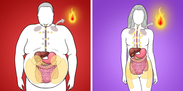 How To Identify Where You Have Excess Fat and Make It Vanish