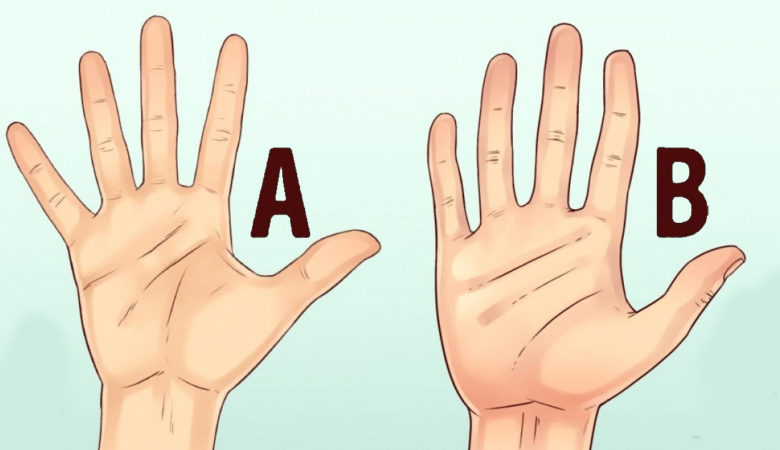 How to Tell a Person’s Character by the Shape of Their Hands