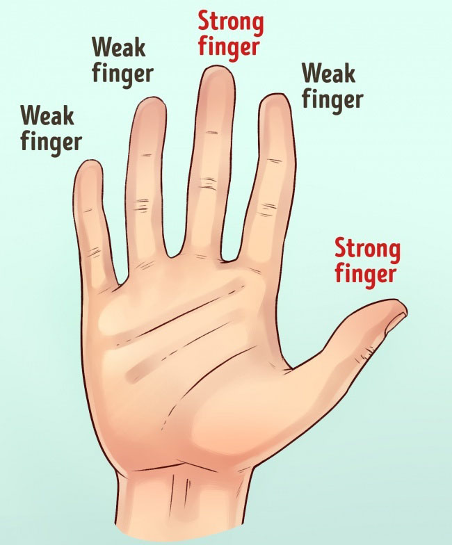 How to Tell a Person’s Character by the Shape of Their Hands