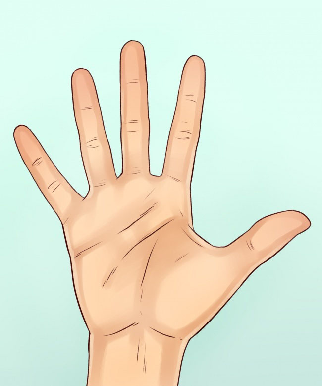 How to Tell a Person’s Character by the Shape of Their Hands