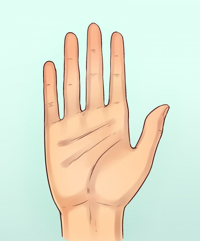 How to Tell a Person’s Character by the Shape of Their Hands