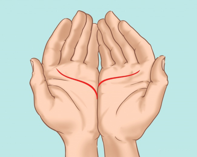 What Does Your Palm Lines Say About Relationships