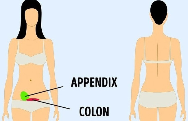 9 Types of Referred Pain That You Should Know About And Never Ignore