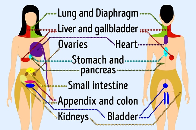 9 Types of Referred Pain That You Should Know About And Never Ignore