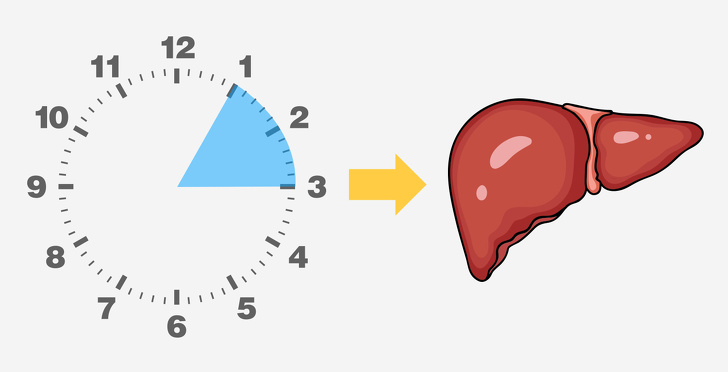 Why You’re Waking Up at the Same Time Every Night