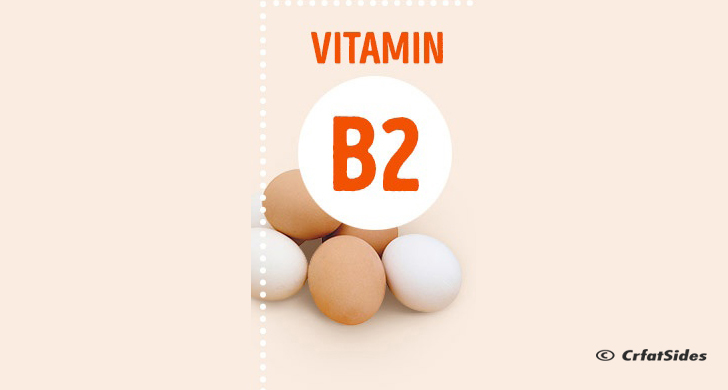 Everything You Want To Know About Vitamins