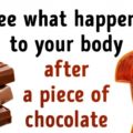 This Will Happens to Our Body After a Piece of Chocolate