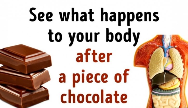 This Will Happens to Our Body After a Piece of Chocolate