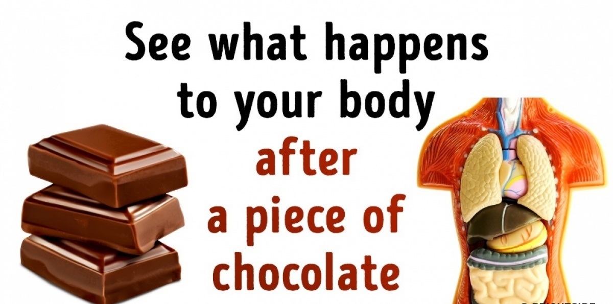 This Will Happens to Our Body After a Piece of Chocolate
