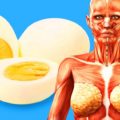 This Will Happen to Your Body If You Start Eating 2 Eggs a Day