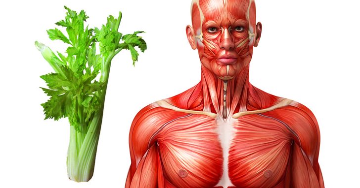 This Will Happen to Your Body If You Eat Celery for a Week