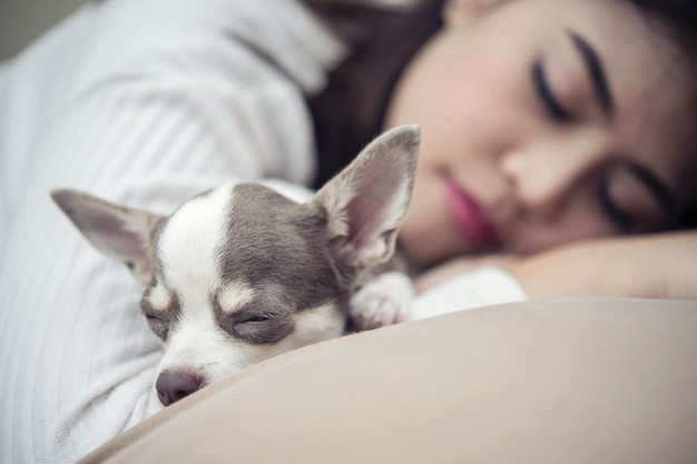 10 Tips for a Good Night’s Sleep and an Easy Awakening