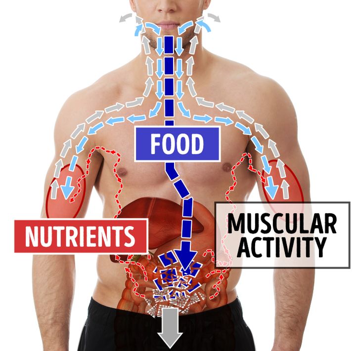 6 Food Habits That Can Help You Stay Healthy Without Dieting