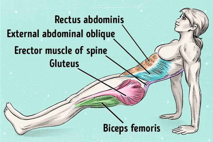 Just One Exercise to Remove Fat and Improve Posture in No Time