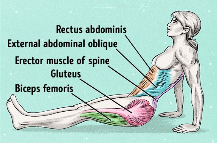 Just One Exercise to Remove Fat and Improve Posture in No Time