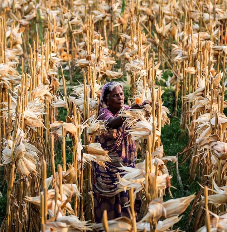 Photographer Captures the Character of Bangladesh in Emotional Portraits