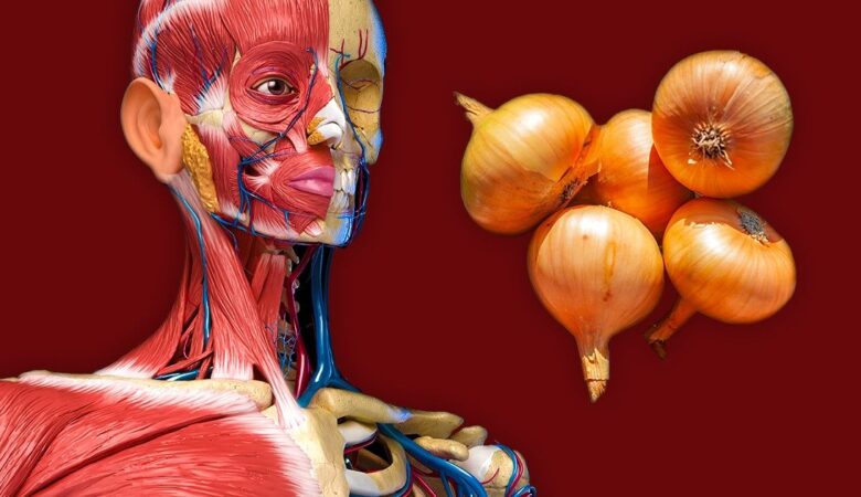 7 Things That Can Happen to Your Body if You Start Eating Onions More Often