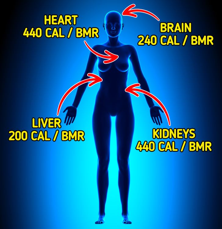 How to Calculate the Number of Calories You Should Eat in a Day