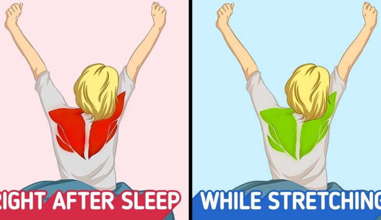 Why Do We Instinctively Stretch When We Wake Up? and Why It’s So Important