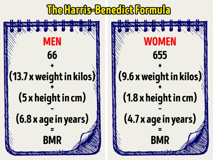 How to Calculate the Number of Calories You Should Eat in a Day