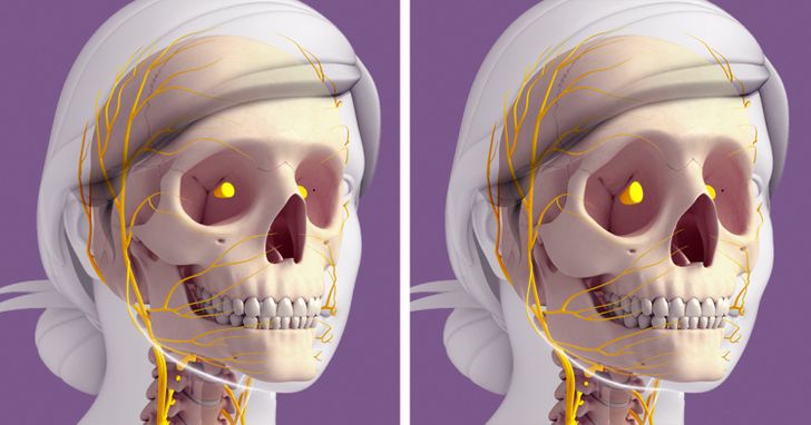 How Our Bodies Change After 30, and Why Our Faces Can Age So Drastically