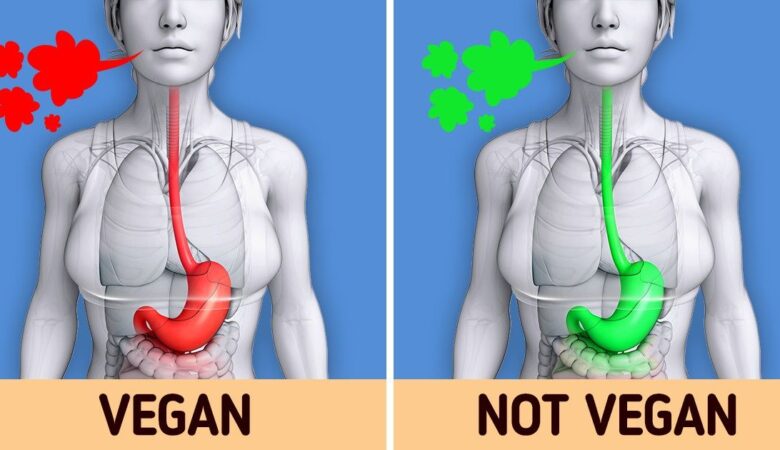 8 Things That Happen in Our Body When We Go Vegan