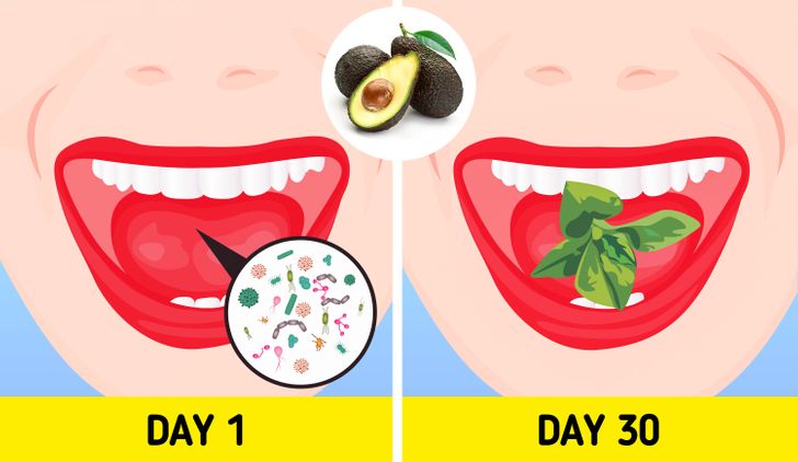 What Can Happen to Your Body If You Start Eating an Avocado a Day for 30 Days