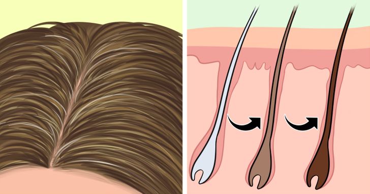 Going Gray Can Be Reversible, and Here’s What You Can Do to Return Color to Your Hair