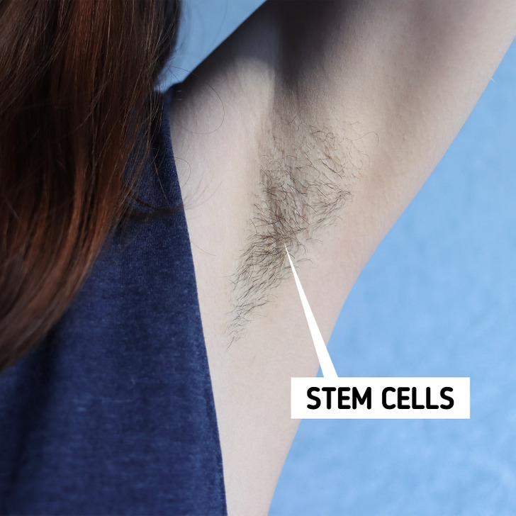 What Happens If You Stop Shaving Body Hair