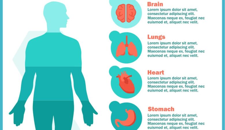 The Amazing Human Body A Guide to Your Health